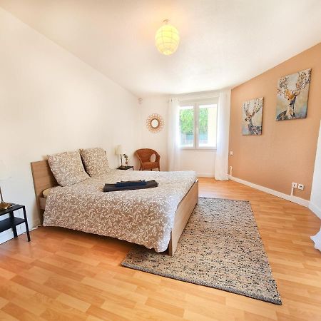 Le Zola - Appartement Spacieux - Grenoble Eksteriør bilde